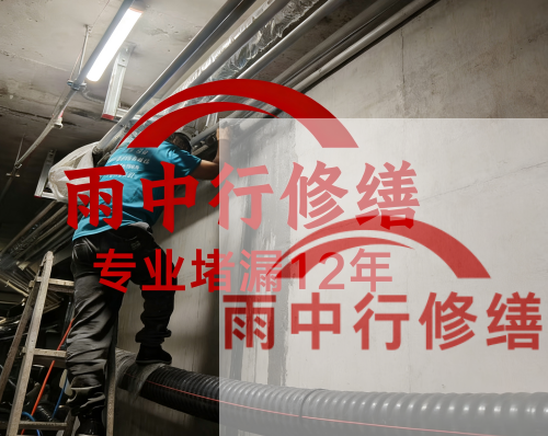 东营电缆线空洞堵漏加固案例