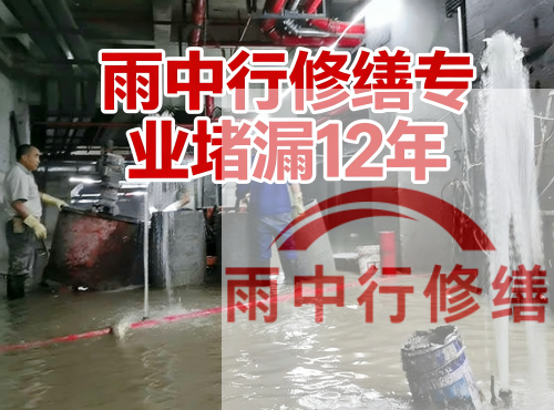 东营中国五矿某大型污水处理厂堵漏案例